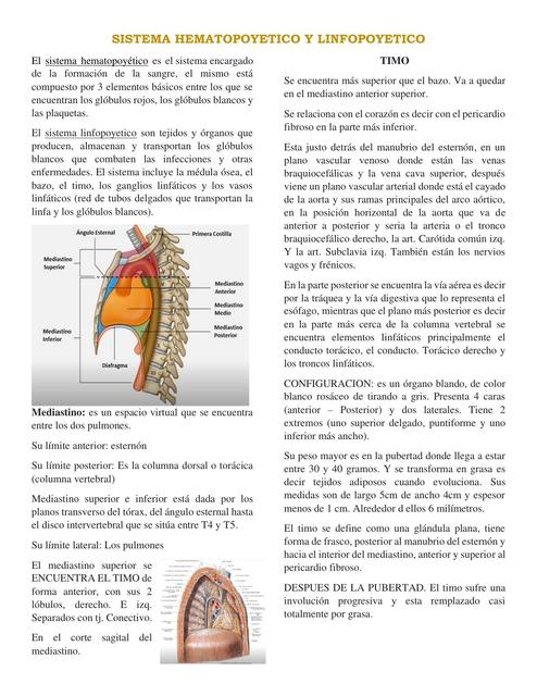 Sistema Hematopoyético y Linfopoyético 