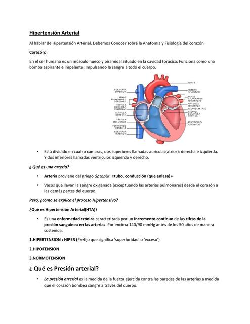 Hipertensión Arterial 