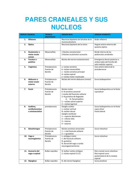 Pares Craneales y sus Núcleos 