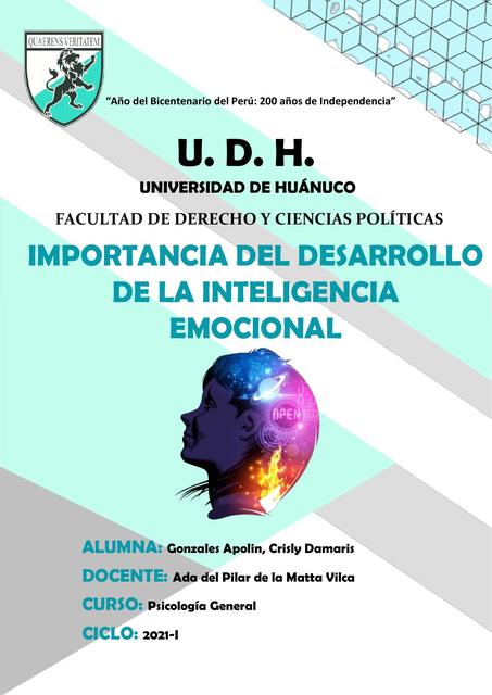 Importancia del Desarrollo de la Inteligencia Emocional