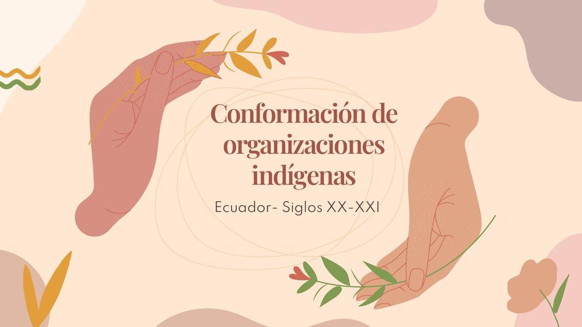 Conformación de organizaciones indígenas 