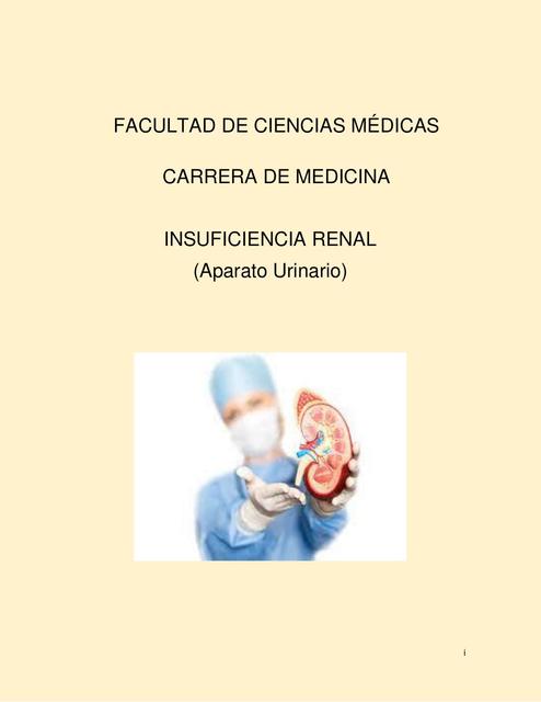 Insuficiencia Renal