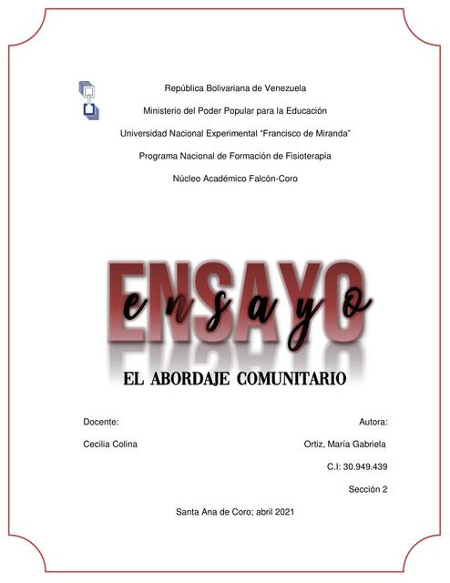 Ensayo sobre Abordaje Comunitario