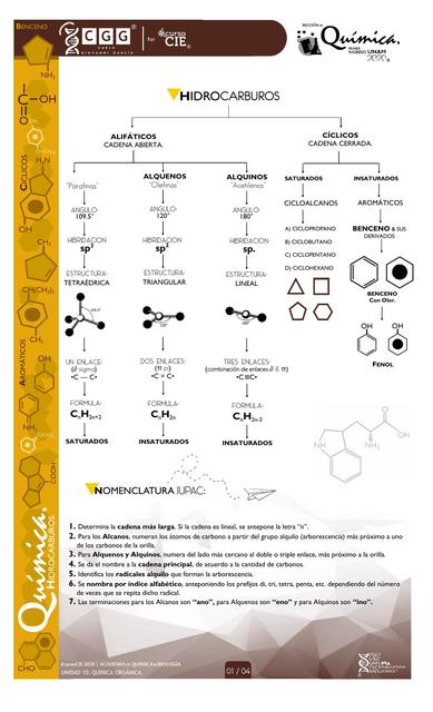 Química Orgánica