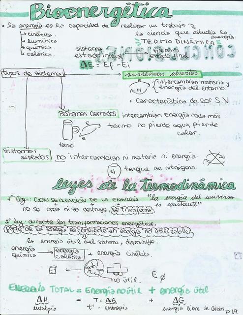 Bioenergética (catabolismo y anabolismo)