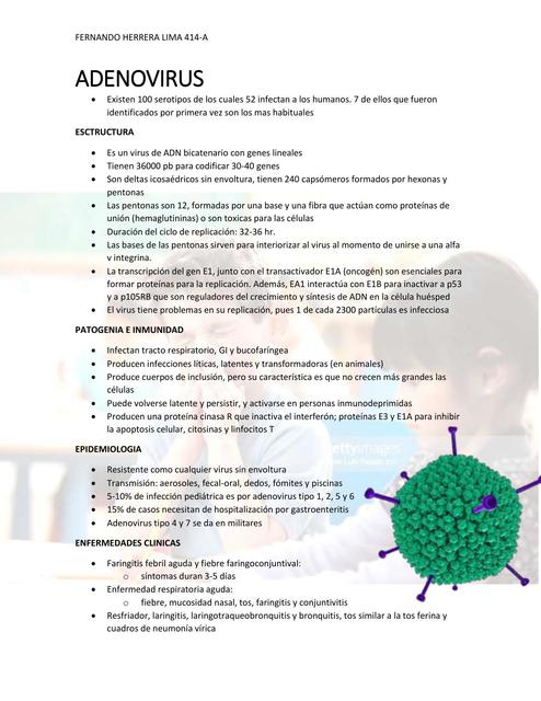 Adenovirus