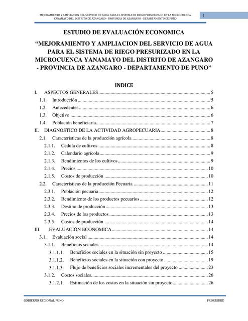 Estudio de Evaluación Económica final