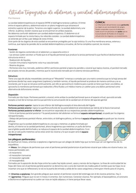 Estudio Topográfico de Abdomen y Cavidad Abdominopélvica