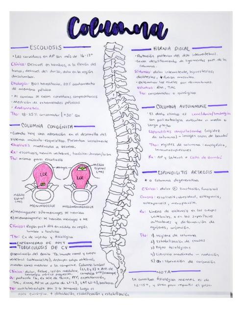 Columna 