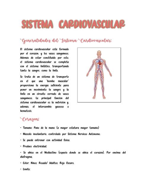 Sistema Cardiovascular