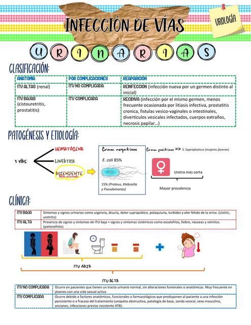 Infección de Vías Urinarias 