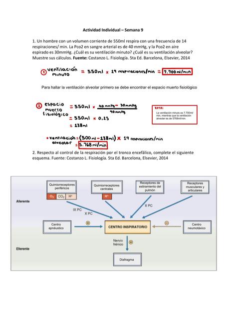 Caso Clínico Sistema Respiratorio