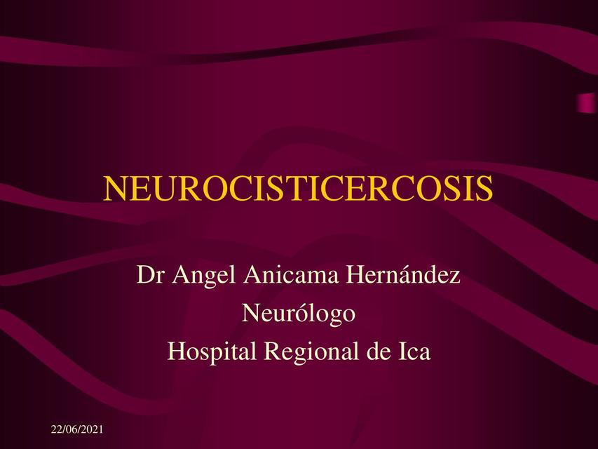 Neurocisticercosis