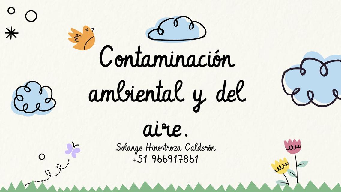 Contaminación ambiental y del aire