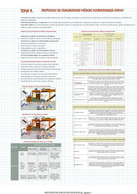 Protocolo de Evaluaciones Médicas Ocupacionales 