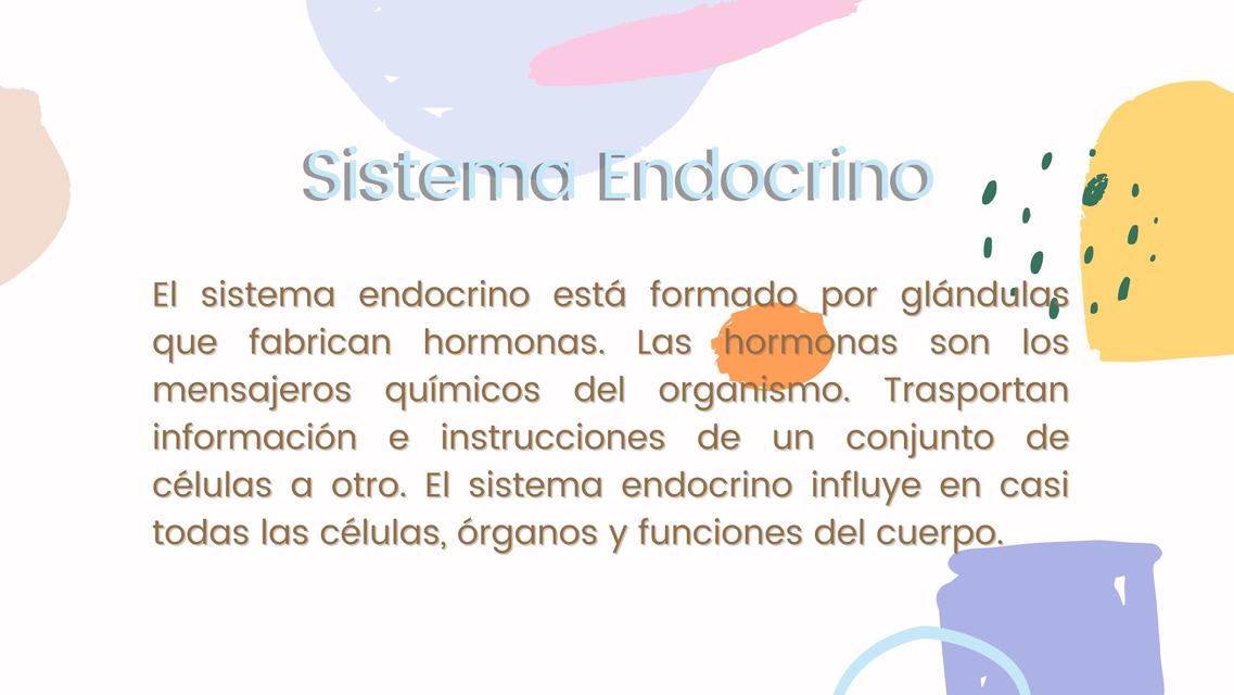 Sistema Endocrino