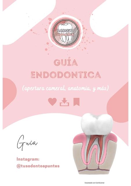 Guía Endodóntica (apertura cameral anatomía interna etc)