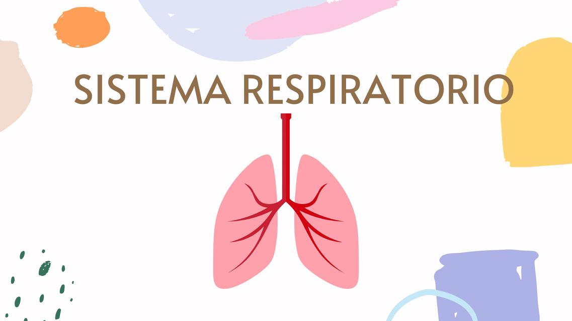 Sistema Respiratorio-Vale Martínez