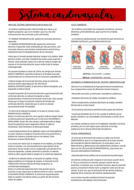 Sistema cardiovascular