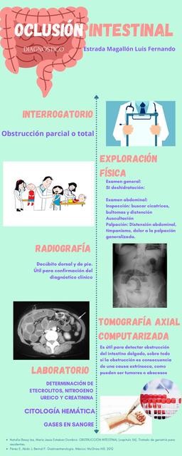 Oclusión Intestinal 