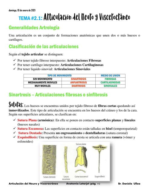 Articulación del Neuro y Viserocráneo