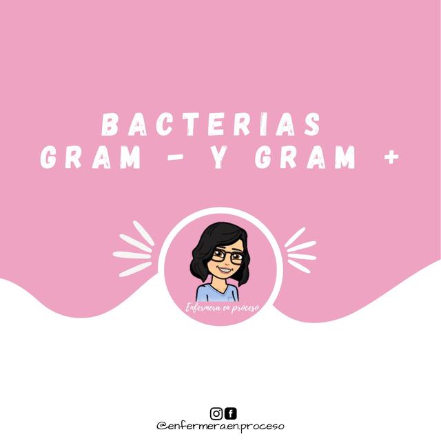 Bacterias Gram - y Gram +