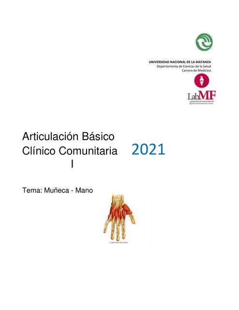 Articulación Básico Clínico Comunitaria Muñeca y 