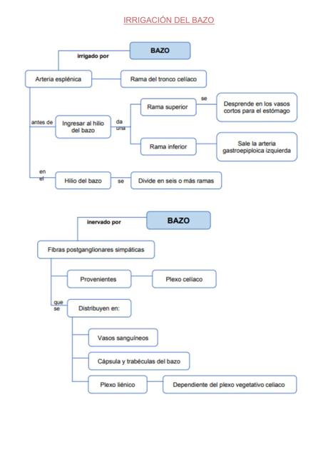 Irrigación del Bazo