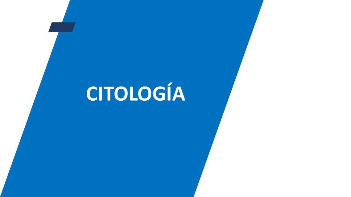 Citología