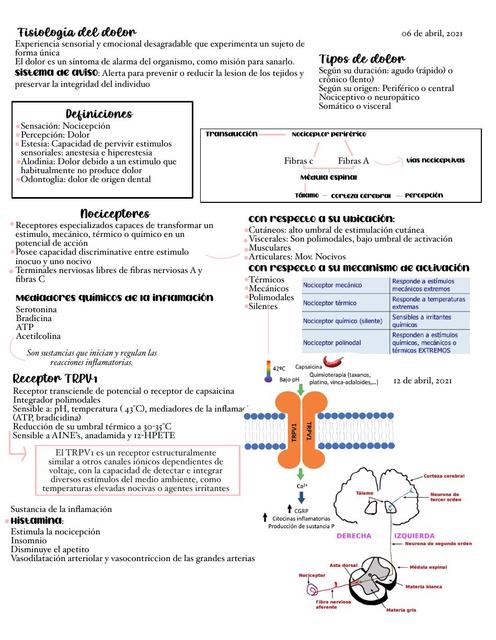 Fisiología del Dolor 