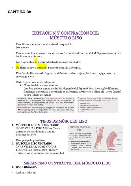 Excitacion y contracción del músculo liso