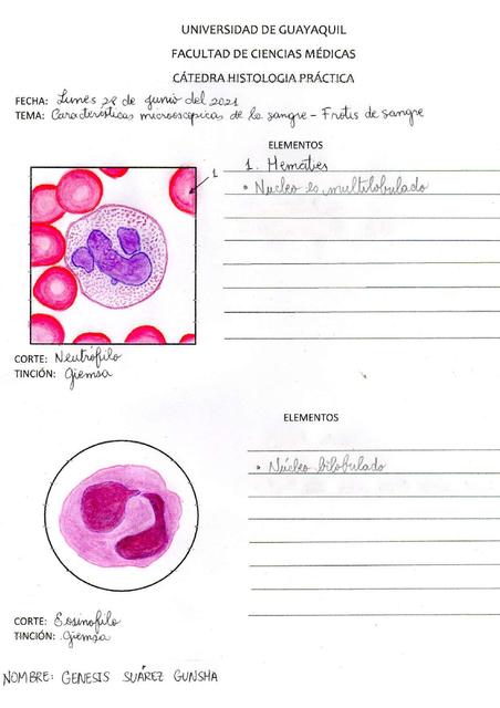 Características de la Sangre