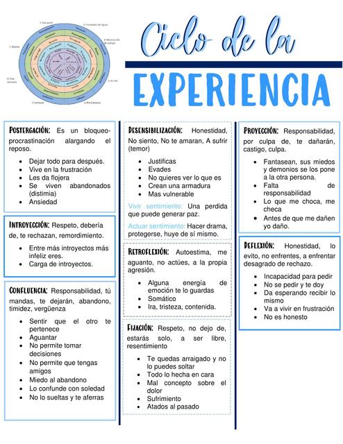 Ciclo de la experiencia