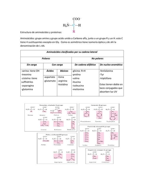 Proteínas y Aminoácidos