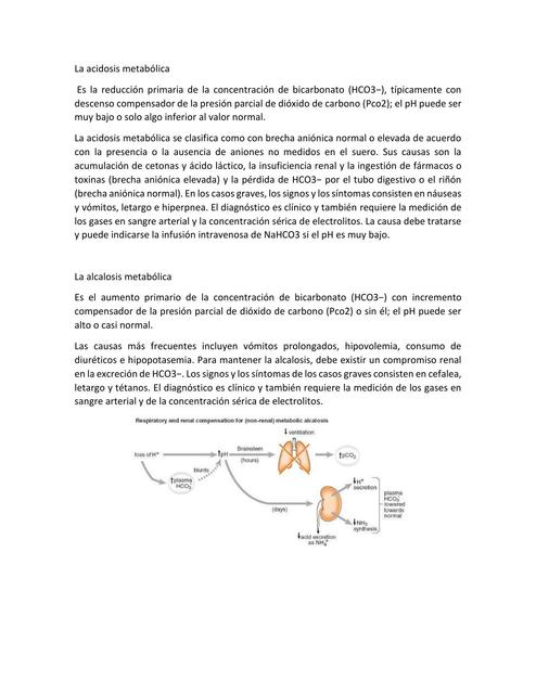 La Acidosis Metabólica 