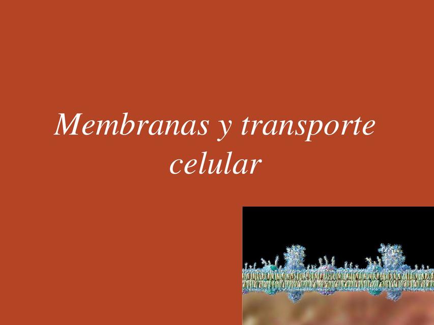 Membranas y Transporte Celular 