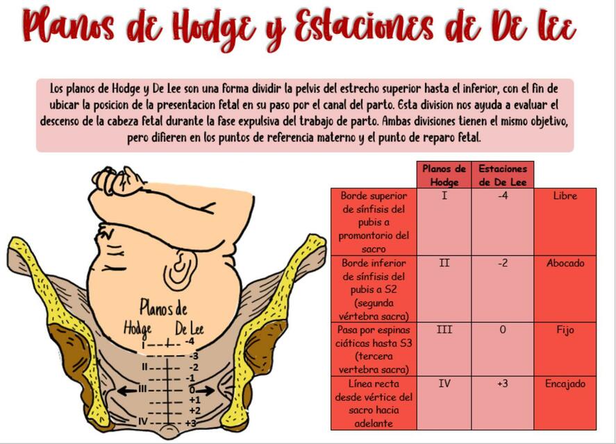 Planos de Hodge y Estaciones de De Lee