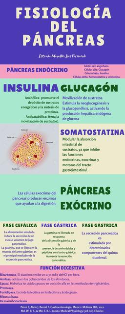 Fisiología del Páncreas 