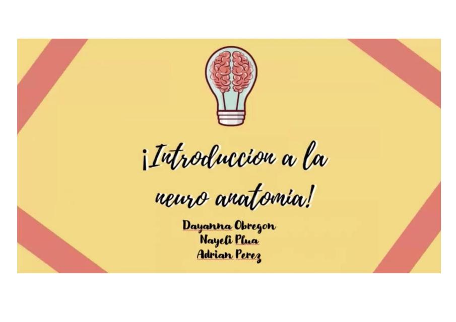 Introducción a la Neuroanatomía