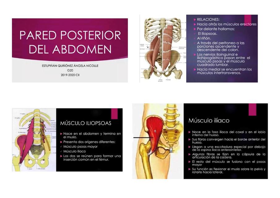 Abdomen Esófago y Estómago