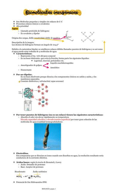 Biomoléculas Inorgánicas