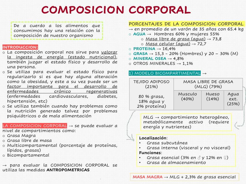 Composición Corporal