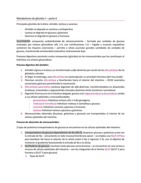 Metabolismo de glúcidos (glucólisis y gluconeogénesis) 