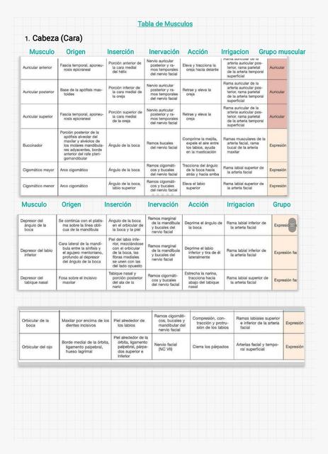 Tabla de Músculos