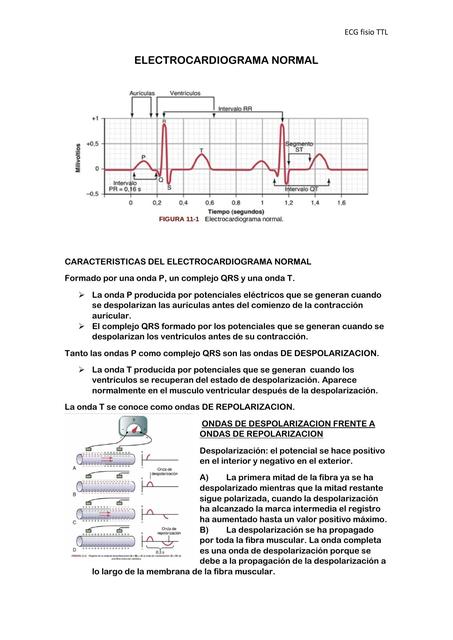 Electrocardiograma Normal