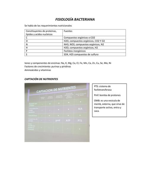 Fisiología Bacteriana