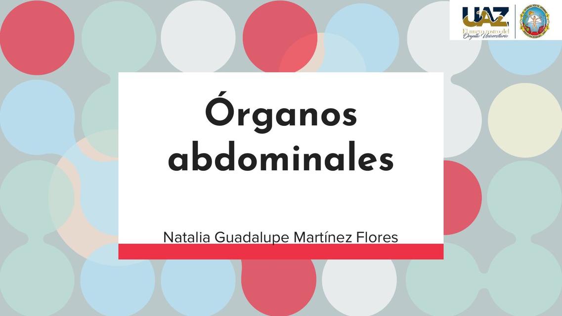 Órganos Abdominales