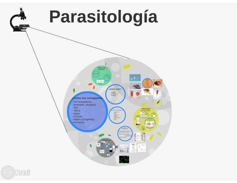 Parasitología