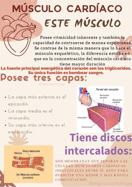 Músculo Cardíaco