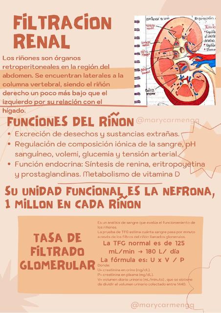 Filtración Renal 